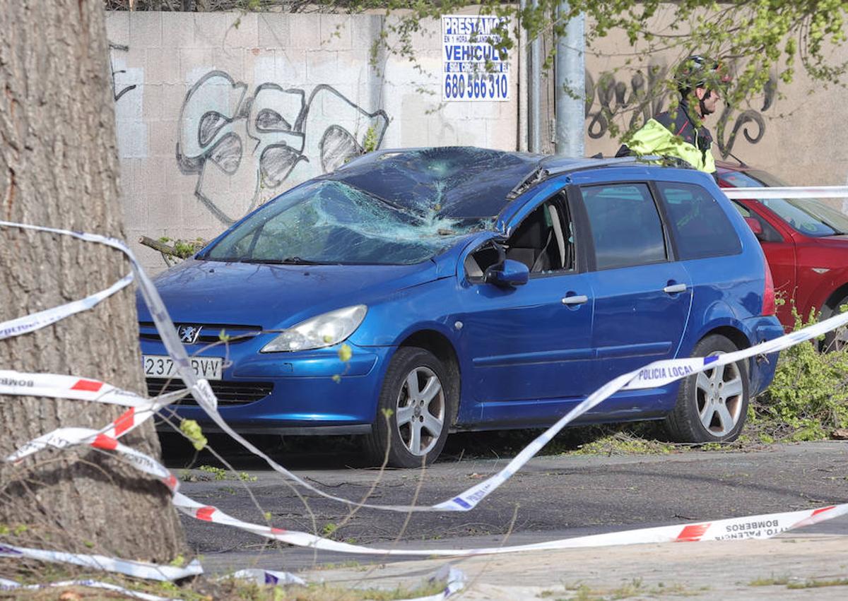 Imagen secundaria 1 - Árboles caídos en la carretera de León, uno de los vehículos dañados y retirada de los reposteros de la fachas del Ayuntamiento.