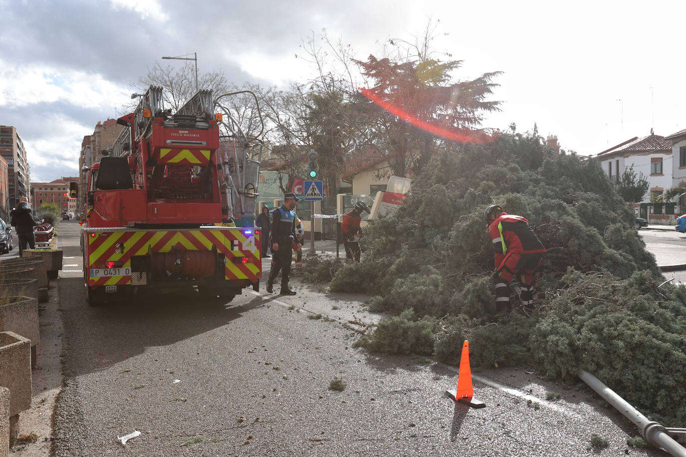 Palencia sufre los efectos del fuerte viento