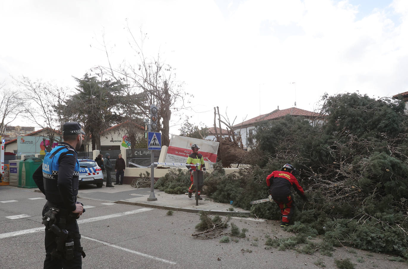 Palencia sufre los efectos del fuerte viento