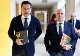 Los portavoces de PP y Vox en las Cortes de Castilla y León, Raúl de la Hoz y Carlos Menéndez, al registrar la proposición de ley para iniciar su tramitación.