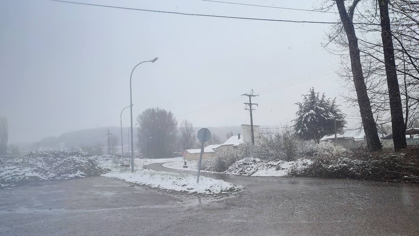 La nieve deja estampas invernales en la Montaña Palentina