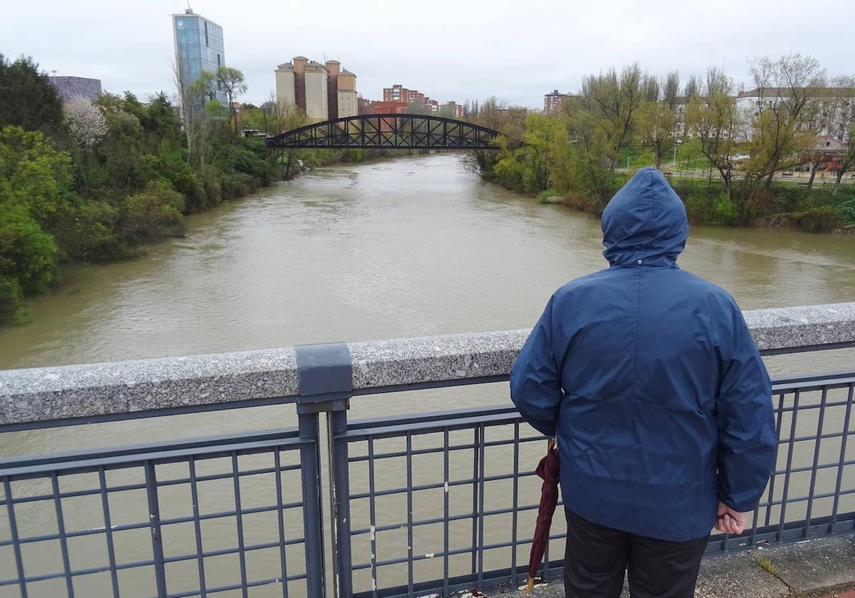 Un hombre observa el caudal del Pisuerga desde el puente de Juan de Austria.