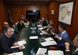 Reunión del Consejo de Salud de Área, esta mañana en la Delegación de la Junta.