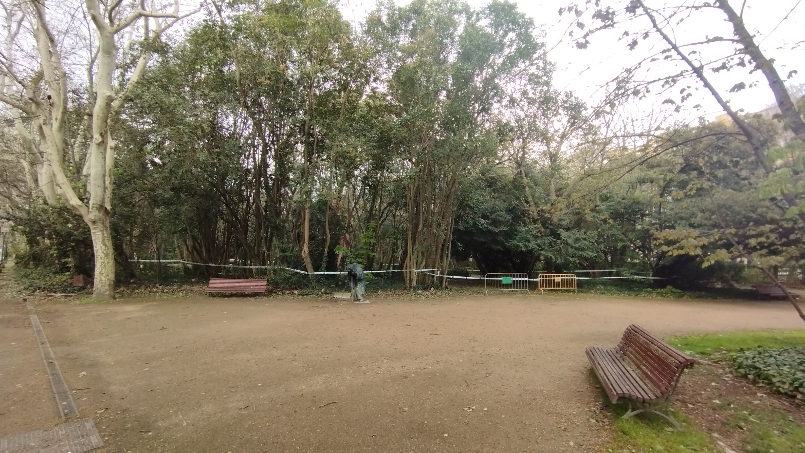 Las imágenes de la caída del árbol de más de diez metros en Campo Grande