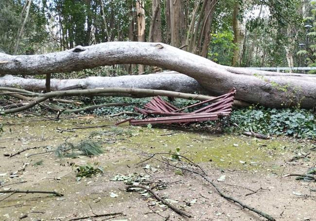 Uno de los daños en el mobiliario del parque a causa de la caída del árbol.