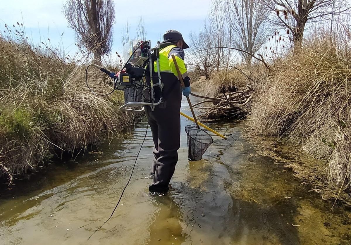 Muestreo realizado por la CHD en un río para analizar el estado de las aguas.