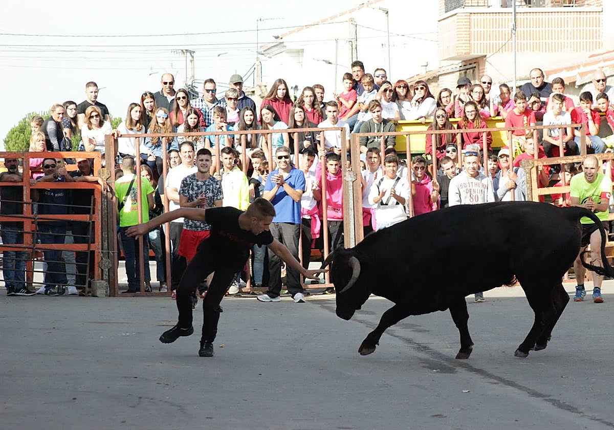 Herido con dos cornadas en el encierro del Toro del Voto en Villoria