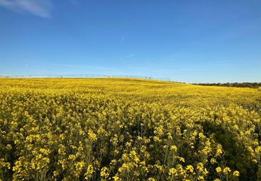 Agricultura inicia el trámite para ampliar hasta mayo la solicitud de la PAC