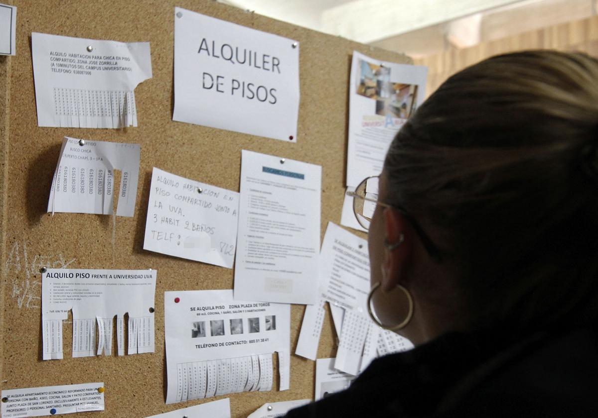 Una joven observa carteles que anuncian pisos en alquiler en Segovia.