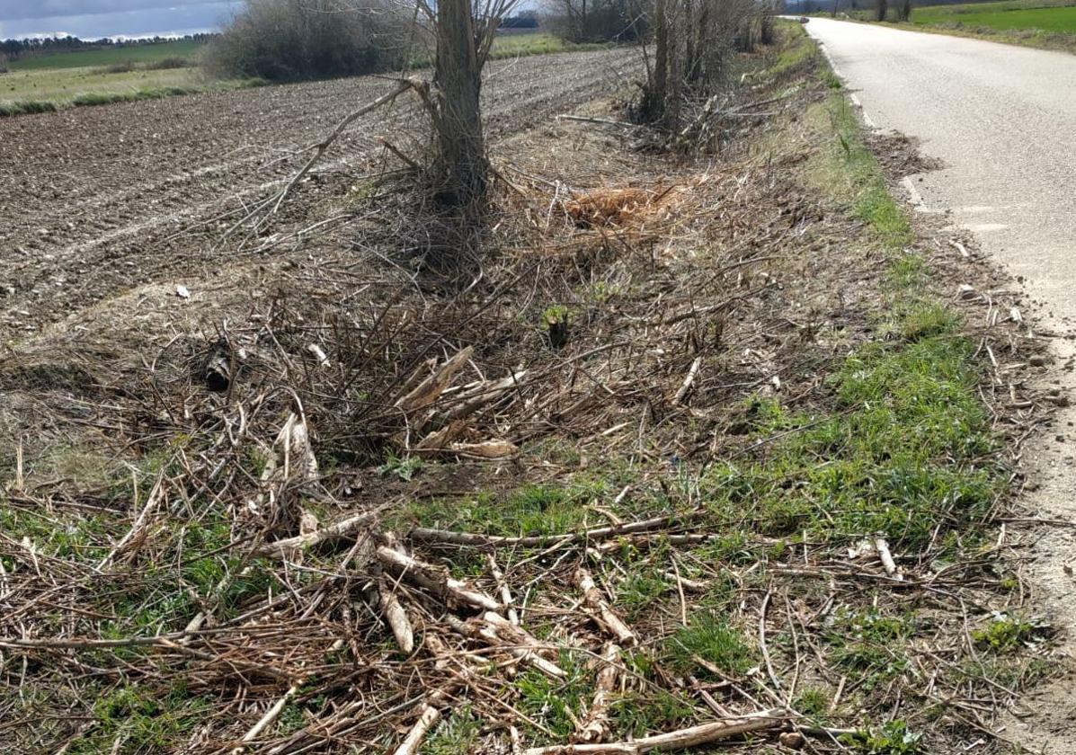 Zonas de nidificación destruidas en el camino rural entre Villoldo y Manquillos.