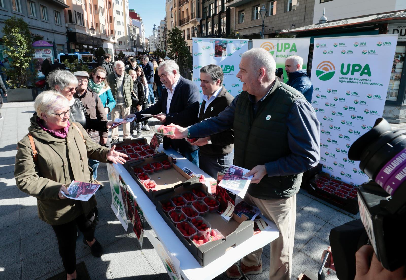 «Al agricultor le pagan las fresas a 20 céntimos y nosotros las compramos a cuatro euros»