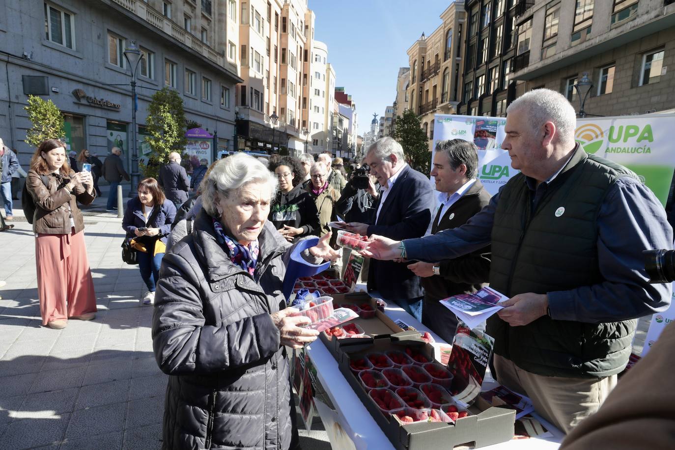 Colas en el reparto de tarrinas con fresas en Valladolid