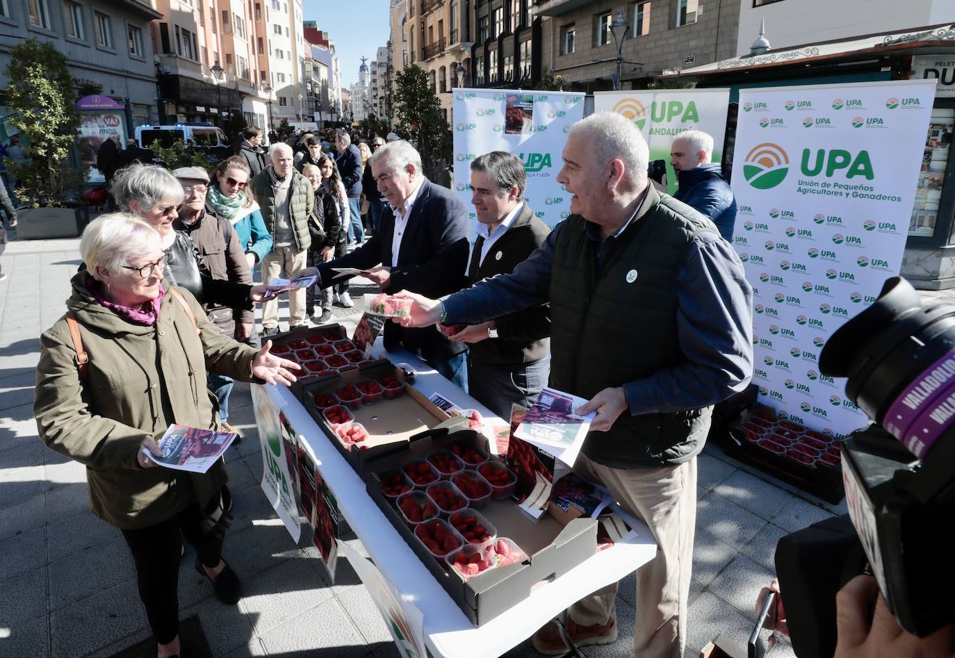 Colas en el reparto de tarrinas con fresas en Valladolid