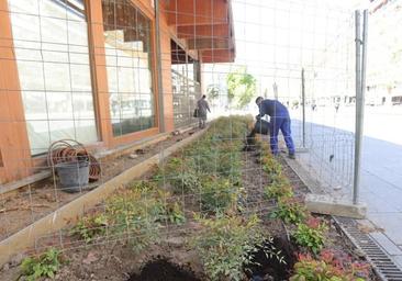Un jardín para sustituir los árboles que se talaron en la cafetería del Salón