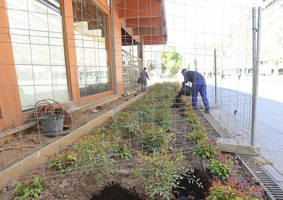 Jardín que se ha plantado junto a la cafetería del parque del Salón.