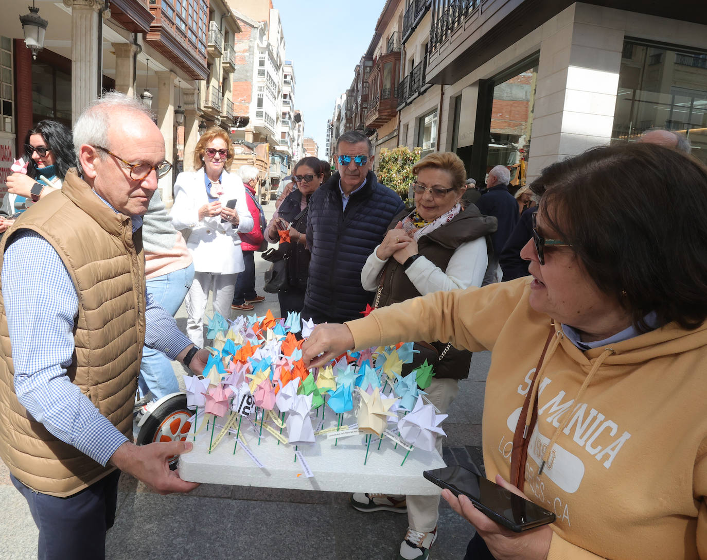 Tulipanes de papel en la Calle Mayor de Palencia