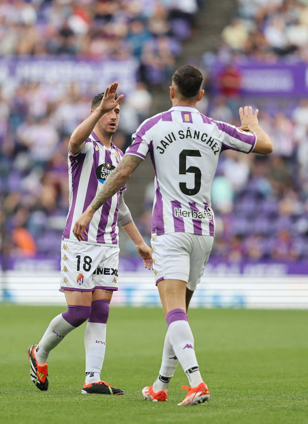 Las imágenes del partido Real Valladolid-Eldense