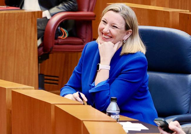 La consejera Isabel Blanco, este miércoles, en el hemiciclo de las Cortes.