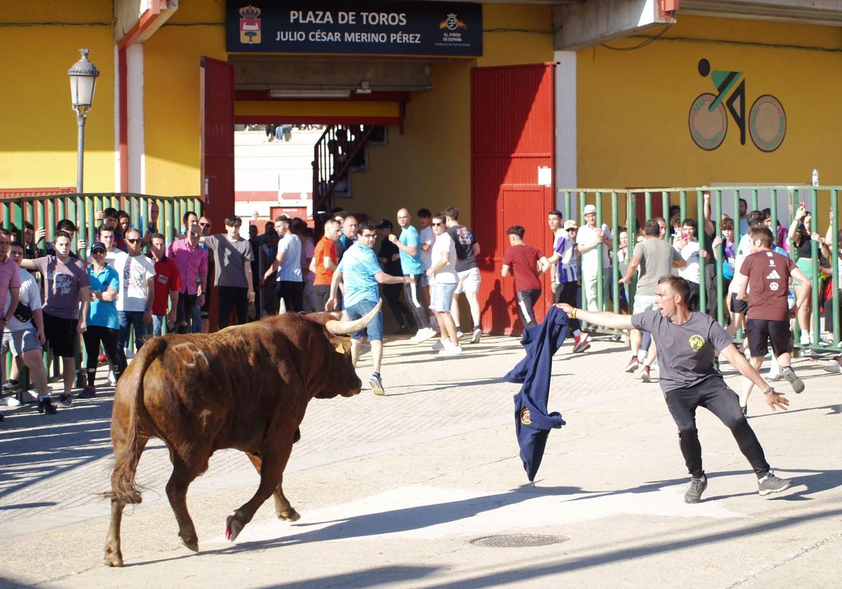 Una inagen del encierro urbano de este domingo.