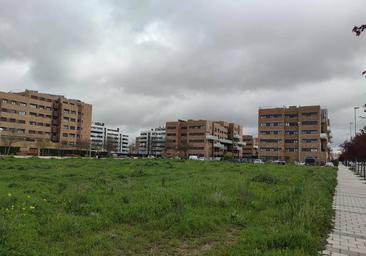 El Ayuntamiento cede a la Junta parcelas para construir 59 viviendas de protección