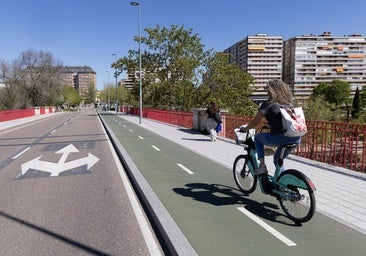 Más de mil personas piden paralizar la ampliación del puente de Poniente