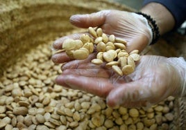 Almendras peladas.