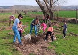 Vecinos y escolares de Husillos plantan árboles frutales.