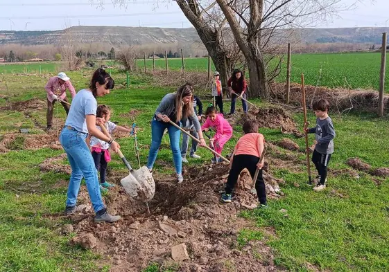 Vecinos y escolares de Husillos plantan árboles frutales.