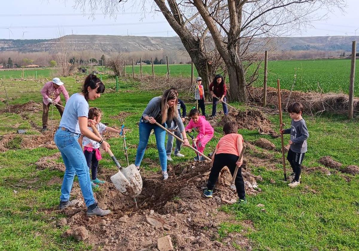 Vecinos y escolares de Husillos plantan árboles frutales.