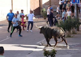 El toro se fija en uno de los aficinados.