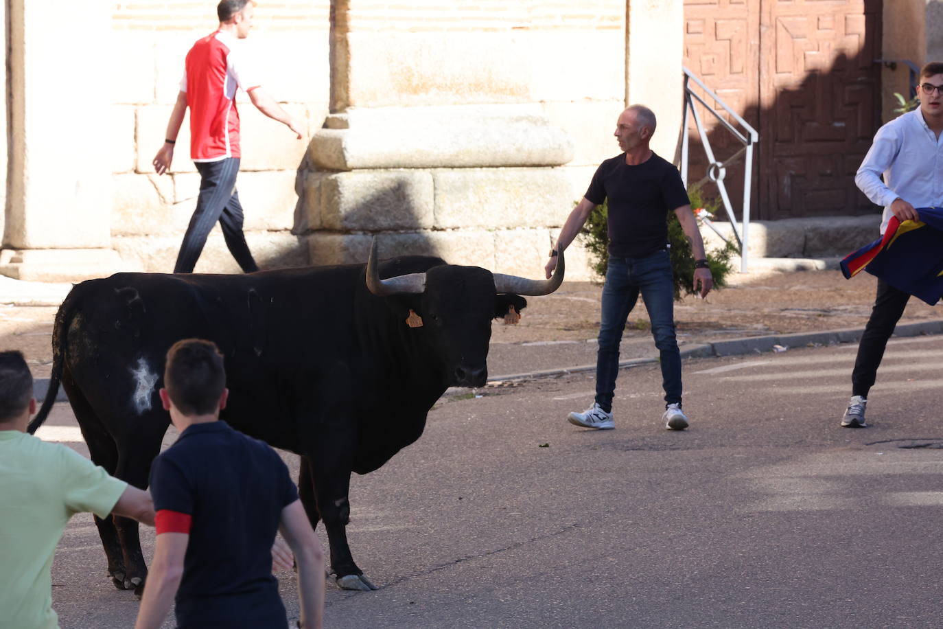 Las imágenes del Toro del Sarmiento en La Seca