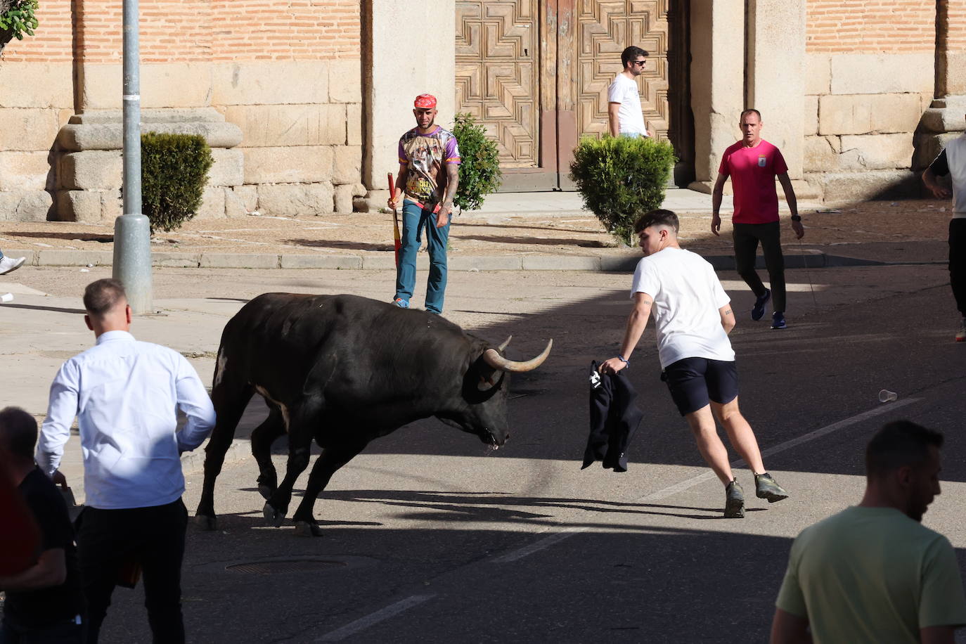 Las imágenes del Toro del Sarmiento en La Seca