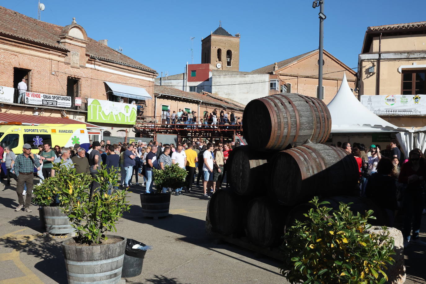 Las imágenes del Toro del Sarmiento en La Seca