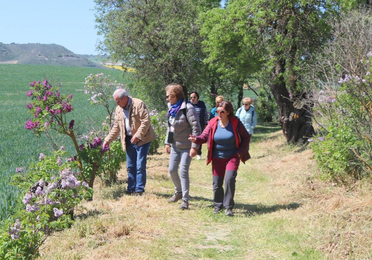 Un grupo de senderistas recorren el Paseo de las Lilas.