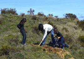 La Diócesis plantará 2.500 árboles este fin de semana en la actividad 'Hacemos bosque'