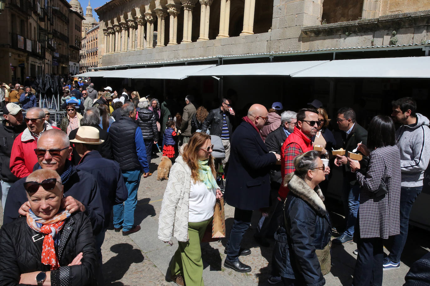 La fiesta segoviana de Castilla y León, en imágenes