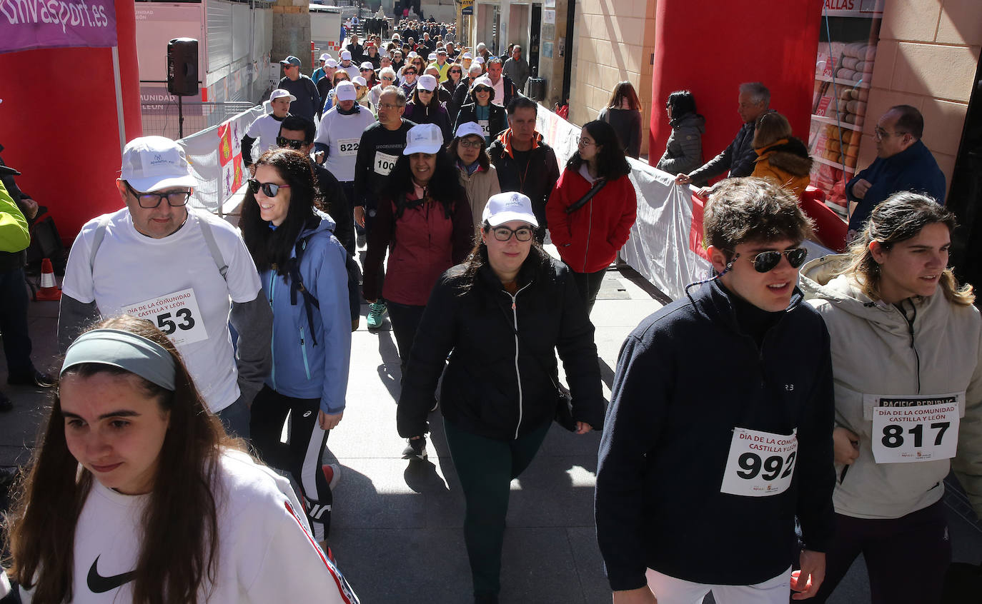 La fiesta segoviana de Castilla y León, en imágenes