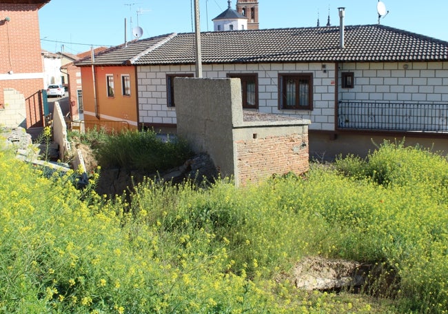 Socavones tapados por la maleza