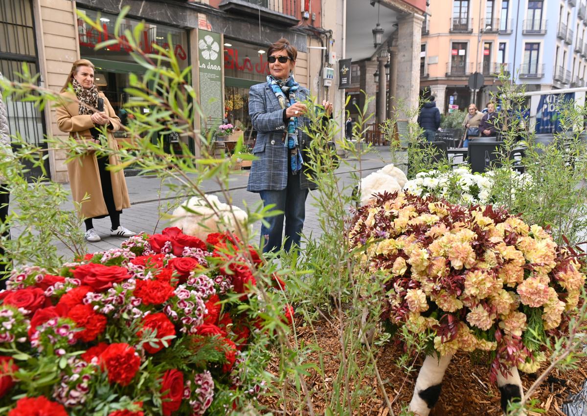 Imagen secundaria 1 - Ovejas florales en la calle Platerías.