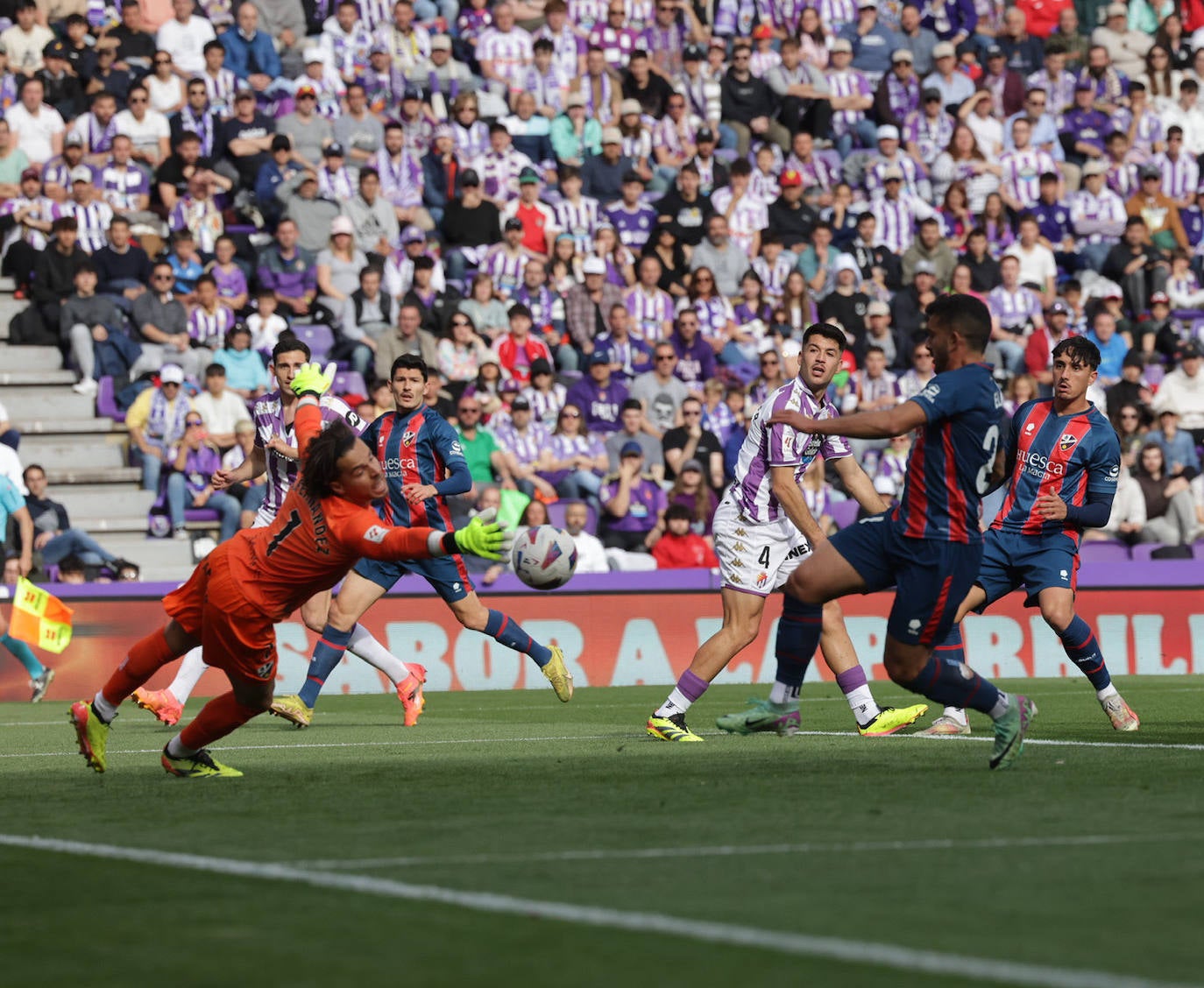 Las imágenes del Real Valladolid - SD Huesca