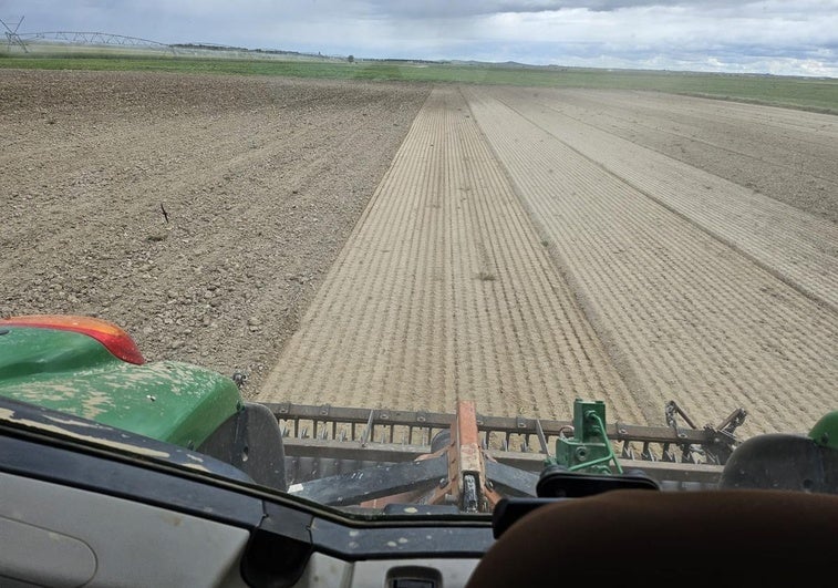 Preparando la tierra este fin de semana en La Moraña, para sembrar girasol.