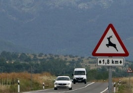 Cartel que advierte de la presencia de animales en una carretera de Segovia.