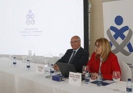 Enrique Ruiz, presidente del Consejo Autonómico de Enfermería, y Carmen Bárcena, en unas jornadas el año pasado.