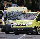 Heridos cuatro jóvenes de entre 16 y 18 años, uno de ellos grave, tras chocar contra un jabalí en Ciudad Rodrigo