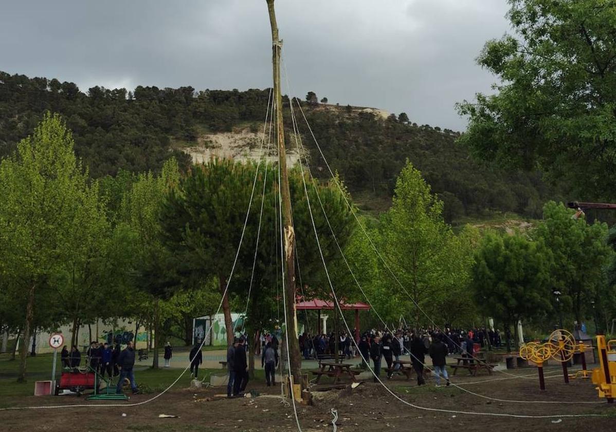 Plantada del mayo en Cabezón de Pisuerga