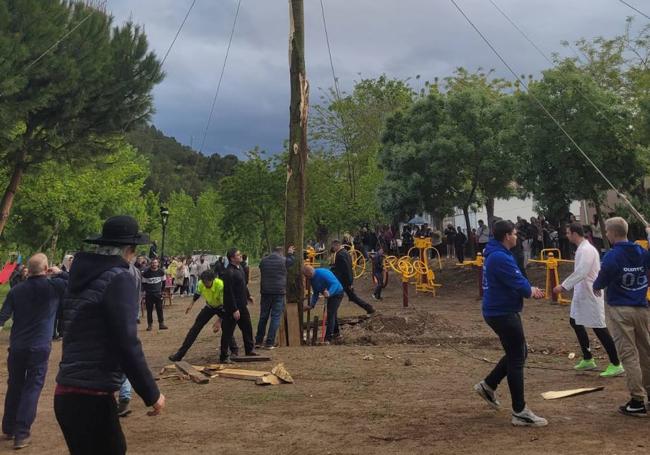 Los quintos levantan el mayo en Cabezón de Pisuerga