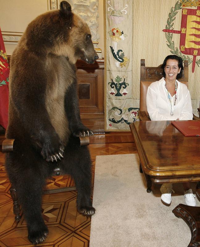 El oso mira a Mercedes Cantalapiedra.