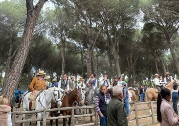 Muere un organizador de la feria flamenca de Íscar tras atragantarse