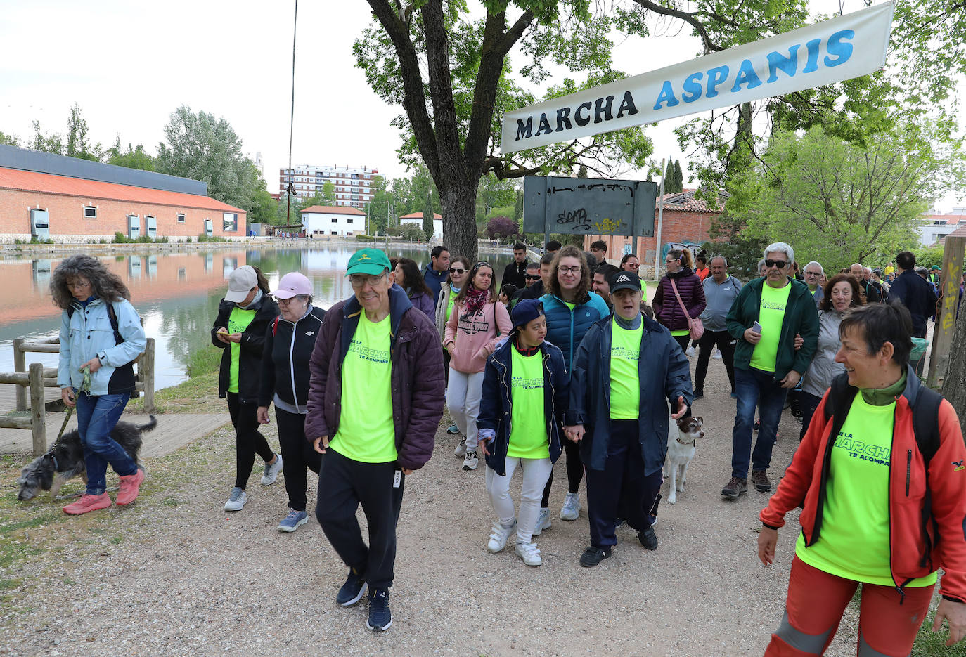 La Marcha Aspanis de Palencia, en imágenes