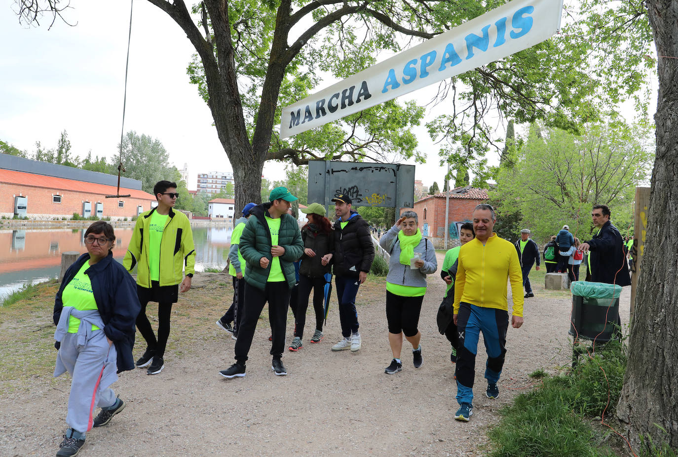 La Marcha Aspanis de Palencia, en imágenes